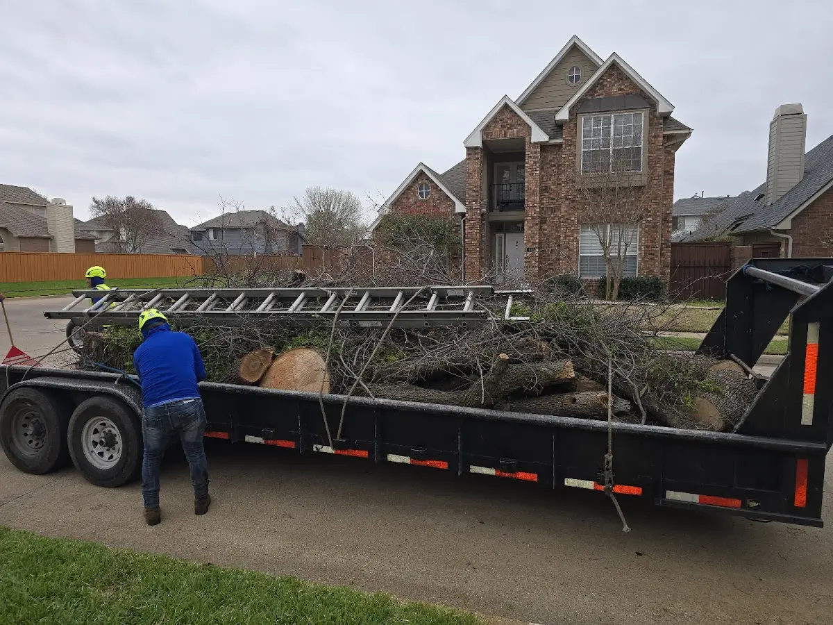 Expert Crown Reduction with proper safety equipment in Castlewood